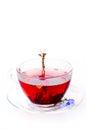 Cup of tea with teabag over white Royalty Free Stock Photo
