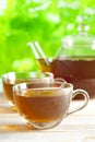 Cup of tea and teapot on nature background Royalty Free Stock Photo