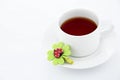 Cup of tea Royalty Free Stock Photo
