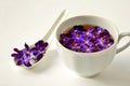 Cup of tea with violet flowers on white background close up.