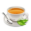 Cup of tea Royalty Free Stock Photo