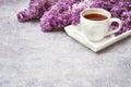 Cup of tea on white tray with lilac border on gray background. C