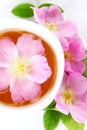 Cup of tea with wild rose Royalty Free Stock Photo