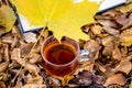 A cup of tea and a yellow maple leaf near an open book in the autumn forest_ Royalty Free Stock Photo