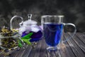 Cup and teapot butterfly pea flower blue tea. Healthy detox herbal drink