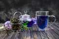 Cup and teapot butterfly pea flower blue tea. Healthy detox herbal drink Royalty Free Stock Photo