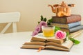 Cup of tee with books Royalty Free Stock Photo