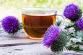 A cup of thistle tea on a woody background on nature. Thistle flowers near the cup with tea.