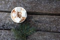 A cup of warm cocoa with marshmallows Royalty Free Stock Photo