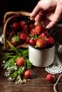 A cup with wild strawberries, a bouquet of wild flowers. The hand holds a berry. A basket with strawberries in the Royalty Free Stock Photo