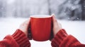 Cup of winter drink in hands Royalty Free Stock Photo