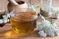 A cup of yarrow tea with fresh yarrow flowers Royalty Free Stock Photo