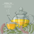 Cup of yarrow tea and teapot Royalty Free Stock Photo