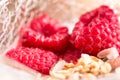 Cup of yogurt with granola and raspberry