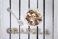 Cup of yogurt, granola, a teaspoon and Granola inscription. Whit