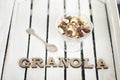 Cup of yogurt, granola, a teaspoon and Granola inscription. Whit