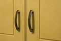 Cupboard Doors Royalty Free Stock Photo