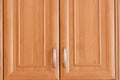 Cupboard doors Royalty Free Stock Photo