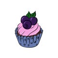 Cupcake with blackberry, hand draw, vector illustration