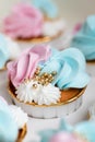 Cupcake blue and pink for gender party. boy or girl. delicious cupcakes with blue and pink cream, golden sparkles