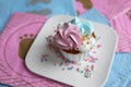 Cupcake blue and pink for gender party. boy or girl. delicious cupcakes with blue and pink cream, golden sparkles