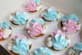 Cupcake blue and pink for gender party. boy or girl. delicious cupcakes with blue and pink cream, golden sparkles