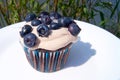 Cupcake with blueberries
