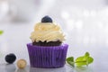 Cupcake with blueberry and hazelnut in purple wrap on white natural marble surface Royalty Free Stock Photo
