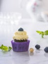 Cupcake with blueberry and hazelnut in purple wrap on white natural marble surface Royalty Free Stock Photo