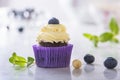 Cupcake with blueberry and hazelnut in purple wrap on white natural marble table Royalty Free Stock Photo