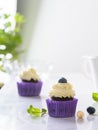 Cupcake with blueberry and hazelnut in purple wrap on white natural marble table with copy space Royalty Free Stock Photo