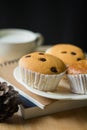 Cupcake on the book and black background,selective focus