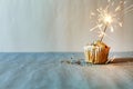 Cupcake, burning sparkler, congratulations, homemade, copy space Royalty Free Stock Photo