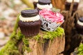 Cupcake cakes in the middle of forest on a moss dark cream with a biscuit and pink black cakes for a wedding ceremony