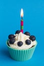 Cupcake with candle and blueberries Royalty Free Stock Photo