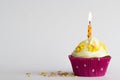 Cupcake with candle and yellow sugar flowers Royalty Free Stock Photo