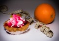 Cupcake, centimeter and orange on a light background, a sweet or fruit for diet Royalty Free Stock Photo