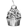 cupcake with cherry monochrome sketch