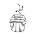Cupcake with cherry. Sweet habd drawn illustration