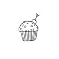 Cupcake with cherry on top. Hand drawn line vector illustration. Royalty Free Stock Photo