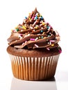 Cupcake with chocolate cream and sprinkles Royalty Free Stock Photo