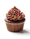 Cupcake with chocolate cream and sprinkles Royalty Free Stock Photo