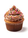 Cupcake with chocolate cream and sprinkles Royalty Free Stock Photo