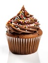 Cupcake with chocolate cream and sprinkles Royalty Free Stock Photo