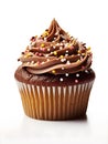 Cupcake with chocolate cream and sprinkles Royalty Free Stock Photo