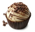 cupcake chocolate isolated