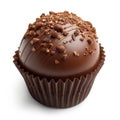 cupcake chocolate isolated