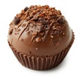 cupcake chocolate isolated