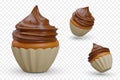 Cupcake with chocolate whipped swirl cream topping. Muffin in package, top, bottom, side view