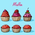 Cupcake collection with different flavors